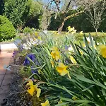Im Rebennest - 3,5 Zkb Mit Terasse Und Garten An Den Weinbergen * Ilbesheim bei Landau in der Pfalz