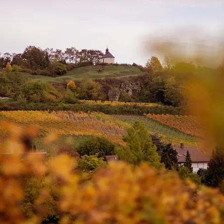 Im Rebennest - 3,5 Zkb Mit Terasse Und Garten An Den Weinbergen Apartamento Ilbesheim bei Landau in der Pfalz