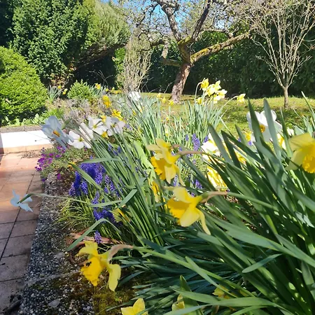 Im Rebennest - 3,5 Zkb Mit Terasse Und Garten An Den Weinbergen * Ilbesheim bei Landau in der Pfalz