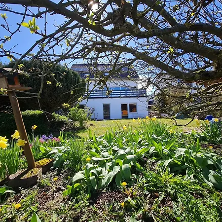 Im Rebennest - 3,5 Zkb Mit Terasse Und Garten An Den Weinbergen Lejlighed