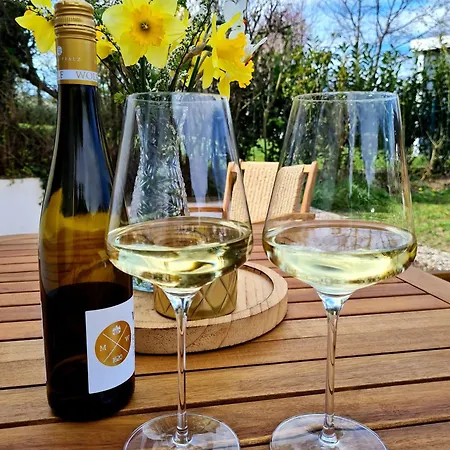 Im Rebennest - 3,5 Zkb Mit Terasse Und Garten An Den Weinbergen Apartmán