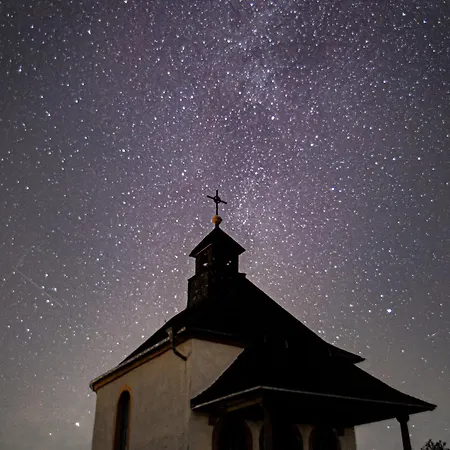 公寓 Im Rebennest - 3,5 Zkb Mit Terasse Und Garten An Den Weinbergen *
