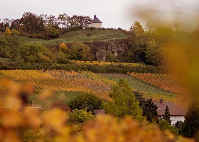 Im Rebennest - 3,5 Zkb Mit Terasse Und Garten An Den Weinbergen Lägenhet Ilbesheim bei Landau in der Pfalz