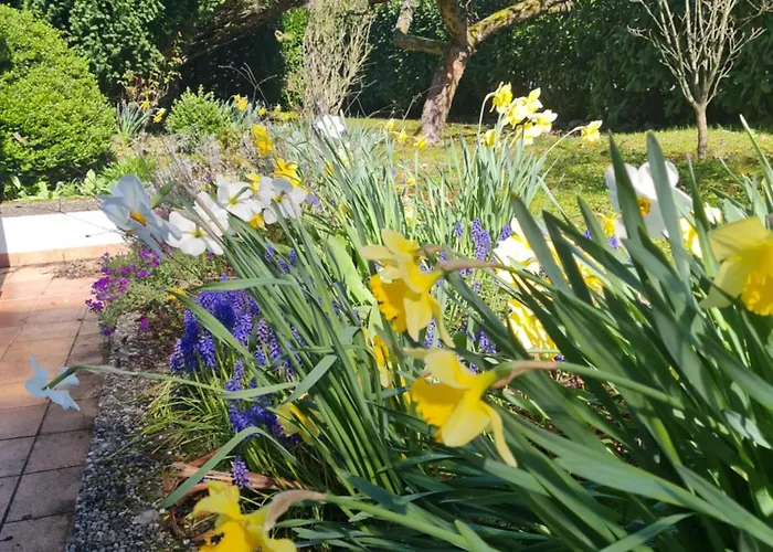 Im Rebennest - 3,5 Zkb Mit Terasse Und Garten An Den Weinbergen * Ilbesheim bei Landau in der Pfalz