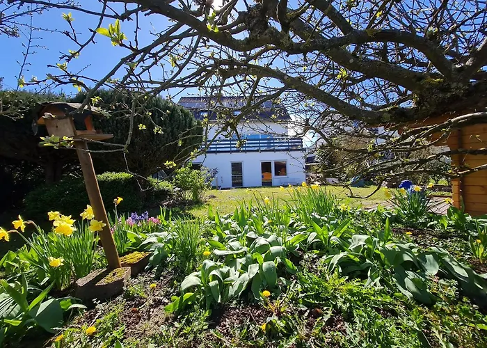 Im Rebennest - 3,5 Zkb Mit Terasse Und Garten An Den Weinbergen Lejlighed