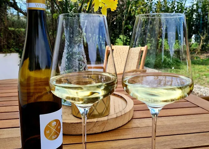 Im Rebennest - 3,5 Zkb Mit Terasse Und Garten An Den Weinbergen Lägenhet